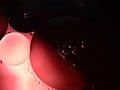 Closeup oil droplets with red, black light background and shiny Royalty Free Stock Photo