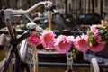 Vintage Bicycle Handlebars With Pink Plastic Flowers, Retro Style Royalty Free Stock Photo