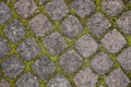 Closeup Old Cobble Stone with Moss Royalty Free Stock Photo