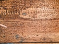 Closeup on old damaged wooden boards wall texture Royalty Free Stock Photo