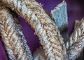 Closeup of old dirty rough ropes Royalty Free Stock Photo