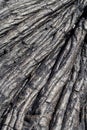 Closeup of old dried lava flow Hawaii Royalty Free Stock Photo