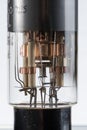 Closeup of an old electronic vacuum tube Royalty Free Stock Photo