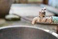 Closeup old faucet with water leaking Royalty Free Stock Photo