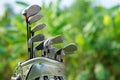 Closeup old golf bags on the green. Set of golf clubs over green field with leaf green background Royalty Free Stock Photo