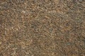 Granite rock texture Royalty Free Stock Photo