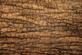 Closeup of Old and Grunge Wooden Texture Surface Background
