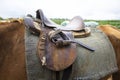 Closeup of an old horse saddle with detail. Harnessed horse being lead - close up details. A stallion horse being riding. Brown Royalty Free Stock Photo