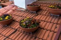 Closeup of the old red clay roof tiles Royalty Free Stock Photo