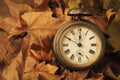 Alarm clock surrounded by dry leaves Royalty Free Stock Photo