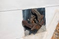 Closeup of old rusty anchor on a ship