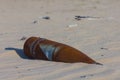 Closeup old rusty bomb in sandy desert