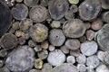 Closeup old timber. Stacked timber logs all over for industry abstract background