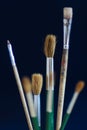 Closeup of paint brushes isolated on blue background Royalty Free Stock Photo