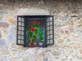 Closeup of an old window with flower pots Royalty Free Stock Photo