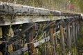 Closeup of an old wooden railroad bridge trestle surrounded by greenery in a forest Royalty Free Stock Photo