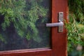 Closeup of old wooden red door with metal handle in greenhouse, evergreen thuja plant behind glass. Royalty Free Stock Photo