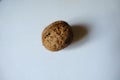 Closeup of one brown rounded wrinkly fruit of Persian walnut