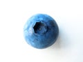 Closeup of one delicate and fresh blueberry Royalty Free Stock Photo