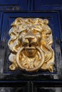 Closeup of one isolated antique old lion head face door knocker with ring at shiny polished black wood door Royalty Free Stock Photo