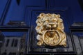 Closeup of one isolated antique old lion head face door knocker with ring at shiny polished black wood door