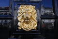 Closeup of one isolated antique old lion head face door knocker with ring at shiny polished black wood door Royalty Free Stock Photo