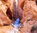 The Hoodoos, Bryce Canyon, Utah, USA Royalty Free Stock Photo