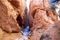 The Hoodoos, Bryce Canyon, Utah, USA Royalty Free Stock Photo