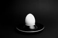 closeup of an egg, chicken egg Royalty Free Stock Photo