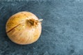 Closeup on onion on stone substrate