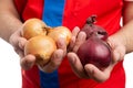 Closeup of onions held by grocery store employee Royalty Free Stock Photo