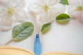 Closeup open book with blank sheets and a blue pen, white fresh apple flowers and green leaves on paper sheet Royalty Free Stock Photo