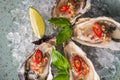 closeup open oyster stuffed with papper Royalty Free Stock Photo