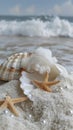 Closeup of open seashell with fluffy white woolly cloud inside on white beach sand Royalty Free Stock Photo
