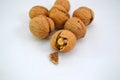 Closeup of open walnut shell Royalty Free Stock Photo