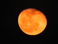 Closeup of Orange Color Moon  black background. Blood mooon, a lunar eclipse where the moon gets a red color Royalty Free Stock Photo