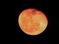 Closeup of Orange Color Moon isolated black background. Blood mooon, a lunar eclipse where the moon gets a red color Royalty Free Stock Photo