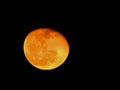 Closeup of Orange Color Moon isolated black background. Blood mooon, a lunar eclipse where the moon gets a red color Royalty Free Stock Photo