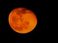 Closeup of Orange Color Moon isolated black background. Blood mooon, a lunar eclipse where the moon gets a red color Royalty Free Stock Photo