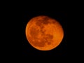 Closeup of Orange Color Moon isolated black background. Blood mooon, a lunar eclipse where the moon gets a red color Royalty Free Stock Photo