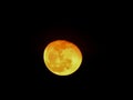 Closeup of Orange Color Moon isolated black background. Blood mooon, a lunar eclipse where the moon gets a red color Royalty Free Stock Photo