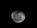 Closeup of Orange Color Moon isolated black background. Blood mooon, a lunar eclipse where the moon gets a red color Royalty Free Stock Photo