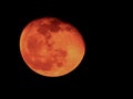 Closeup of Orange Color Moon isolated black background. Blood mooon, a lunar eclipse where the moon gets a red color Royalty Free Stock Photo