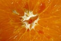 Extreme closeup cut orange fruit. Nature for design.