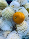 Closeup orange fruit placed in a pile Royalty Free Stock Photo