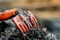 Closeup orange rake on pile of dirty plastic waste on blurred background. Beach environmental pollution concept Clean up rubbish Royalty Free Stock Photo