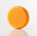 Closeup of an Orange Sponge