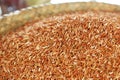 Closeup organic Brown rice in burlap bag at asian fresh market gourmet store, the most selective choice for vegetarian food Royalty Free Stock Photo