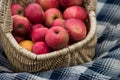 organic red apple in a  wooden basket on blue napkin background Royalty Free Stock Photo