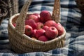 organic red apple in a  wooden basket on blue napkin background Royalty Free Stock Photo